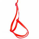 Guia e Peitoral para Papagaio - Vermelho
