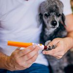 Lixador de Unhas Pet para Cães e Gatos - Petpedicure - imagem 4