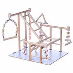Brinquedo Play Playground Papagaio Escada Natural
