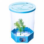 Beteira Decorada -1,4 L - Azul
