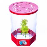 Beteira Decorada -1,4 L - Vermelha