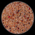Mistura Agapornis Calopsita - Integral Light - Sem Girassol - 5kg - imagem 2