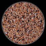 Mistura Agapornis Calopsita - Sementes Seletivas - Sem Girassol - 5kg - imagem 2