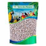 Girassol Descascado - Importado - 200g