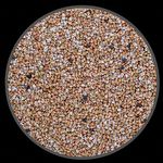 Trigo Sarraceno - Mourisco - sem Casca - 500g - imagem 2