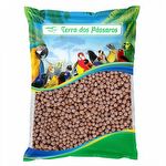 Semente de Grão de Bico 8mm - 500g