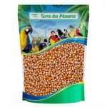 Milho de Pipoca Premium - 200g