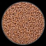 Soja em Grão - 5kg - imagem 2