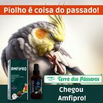 Amfipro - 30ml - Piolhos e Ácaros - imagem 2