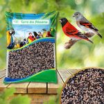 Mistura de Tarim - Pintassilgo da Venezuela - 200g - imagem 3