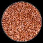 Gammarus Camarão Desidratado - 500g - imagem 2