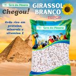Girassol Branco Egípcio - 400g - imagem 3