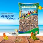 Mistura Agapornis Calopsita - 5 kg - imagem 3