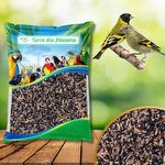 Mistura Pintassilgo - Natural - 500g - imagem 3