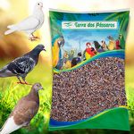 Mistura para Pombos Tradicional - 14 grãos - 500g - imagem 3
