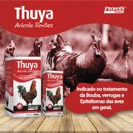 Thuya Avícola Simões Oral - 20 ml - imagem 2