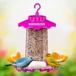 Tratador para Pássaros Gold Plus - Rosa - imagem 3