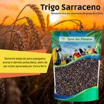 Trigo Sarraceno - 200g - imagem 3