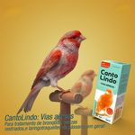 Cantolindo Vias Aéreas - 20ml - imagem 2