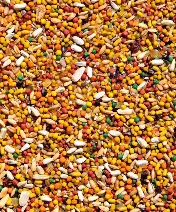 Raposo - Pixarro Pimenta - Linha Nobre - 500g - imagem 2