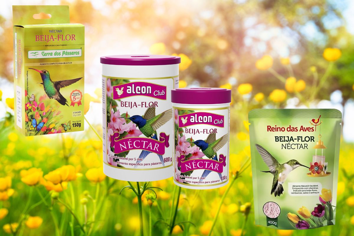Bebedouro para beija-flor no jardim