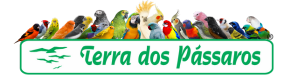 Terra dos Pássaros