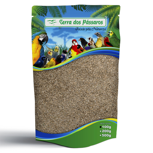 Semente de Grama Bermuda - 100g - imagem 1