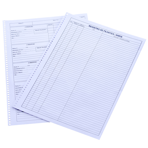 Refil para Caderno - Controle de Criação  - imagem 1