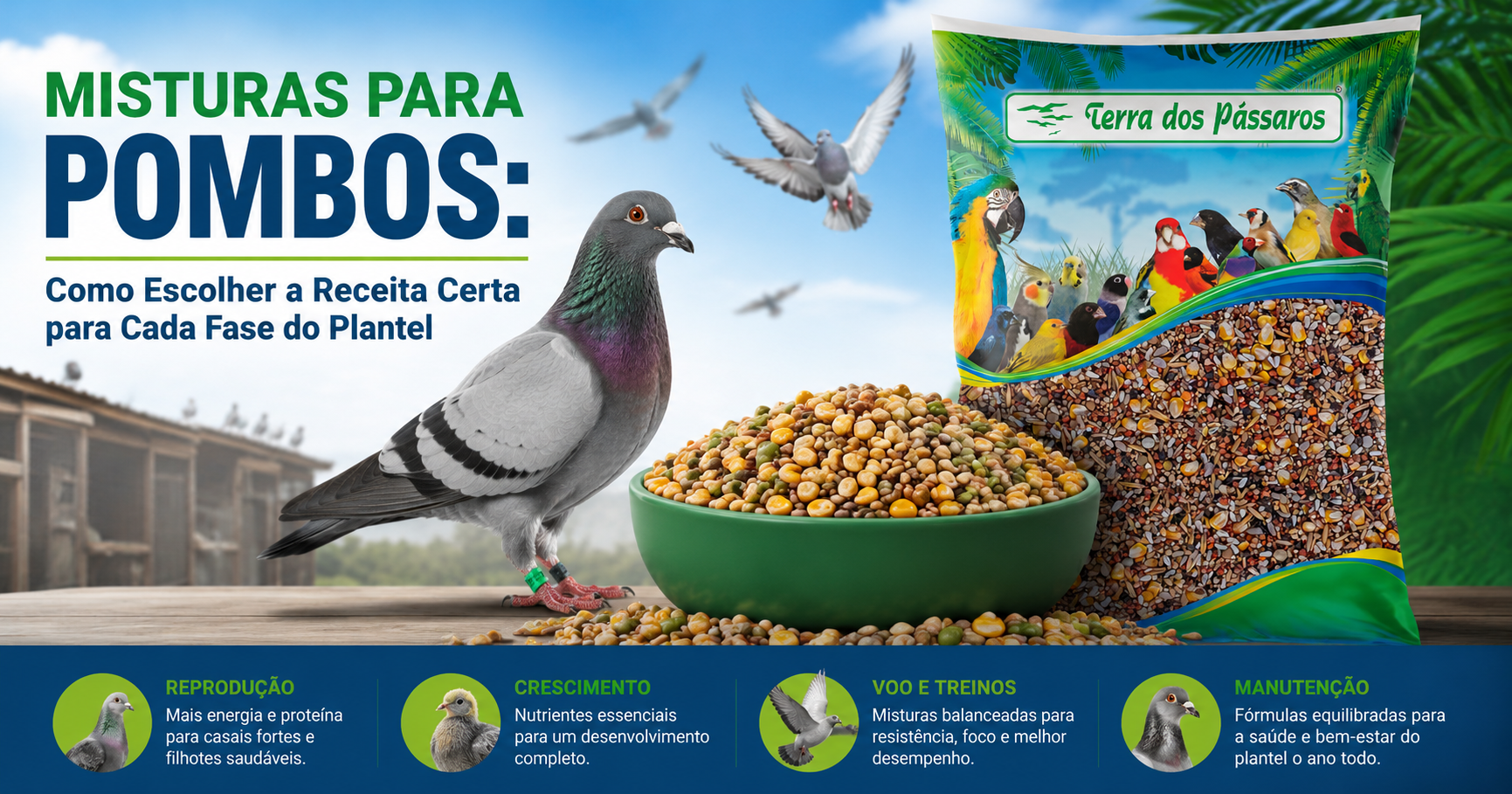 Misturas para Pombos: Como Escolher a Receita Certa para Cada Fase do Plantel