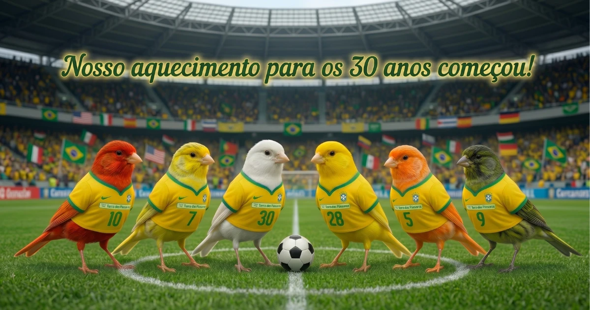 30 anos da Terra dos Pássaros: aniversário em dia de Seleção e Santo Antônio