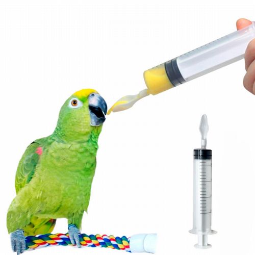 Seringa para Alimentação Pássaros com Colher de Silicone - 20ml - imagem 1