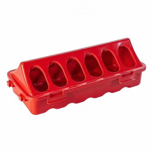 Comedouro Para Codorna Galinha Com 12 Furos -  Vermelho - imagem 1