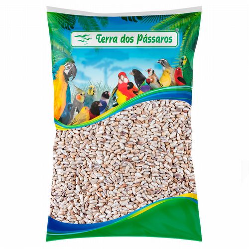 Cártamo - 2,5 kg - imagem 1