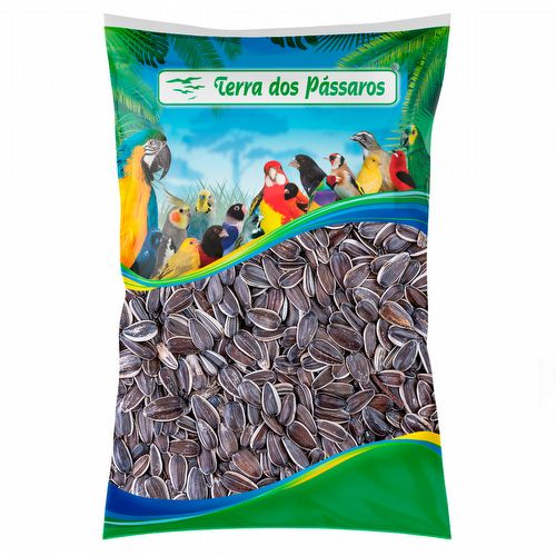 Girassol Gigante - 2 kg - imagem 1