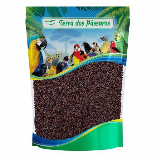 Semente de Couve Manteiga Da Georgia  - 100g - imagem 1