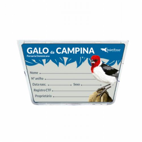 Porta Nome - Acrílico - Galo de Campina - imagem 1