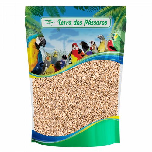 Painço Nordestino - 200g - imagem 1