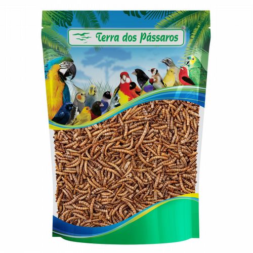 Tenébrio Comum Desidratado - Pequeno - 1kg - imagem 1
