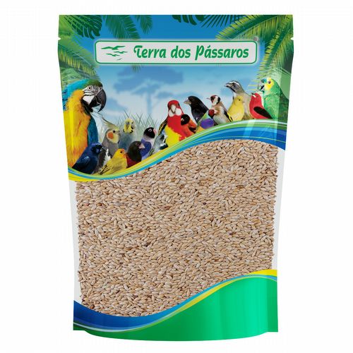 Alpiste - 200g - imagem 1