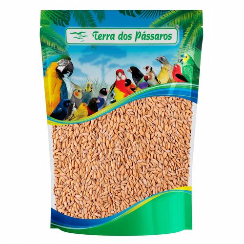 Arroz Cateto - 200g - imagem 1