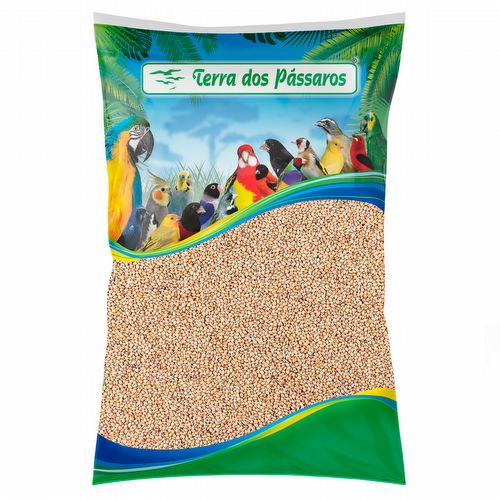 Painço Português - 5 kg - imagem 1