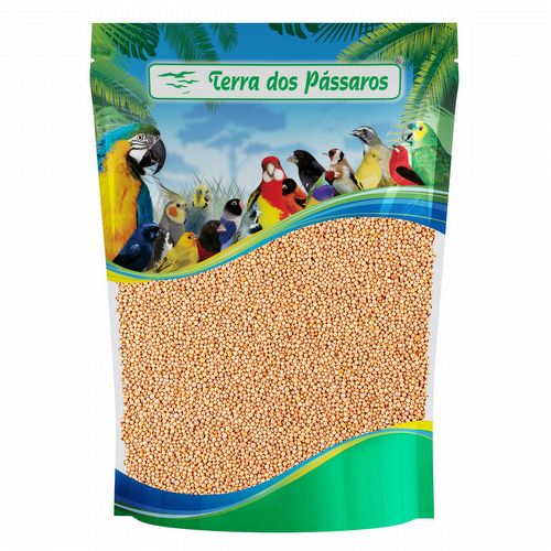 Mostarda - Semente Amarela - 100g - imagem 1