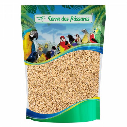 Painço Cearense - 200g - imagem 1