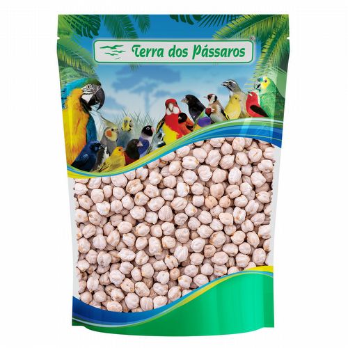 Semente de Grão de Bico 12mm - 100g - imagem 1