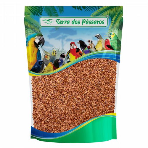 Micro Gammarus Camarão Desidratado - 50g - imagem 1