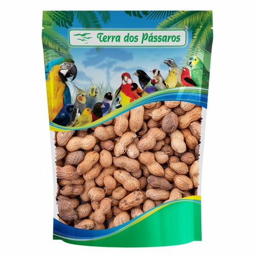 Amendoim com casca - 100g - imagem 1