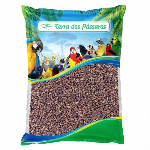 Mini Arroz Bolinha Preto - 500g - imagem 1