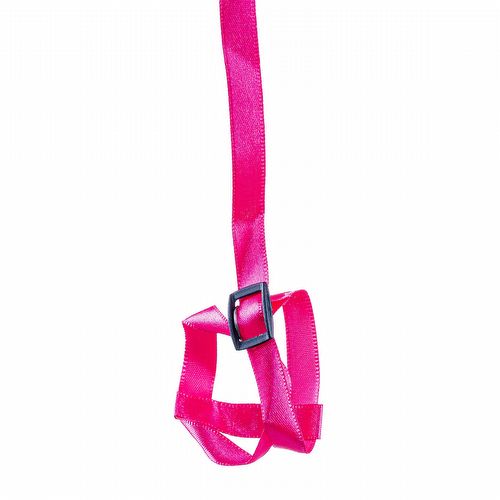 Guia e Peitoral H para Calopsita - Rosa - imagem 1