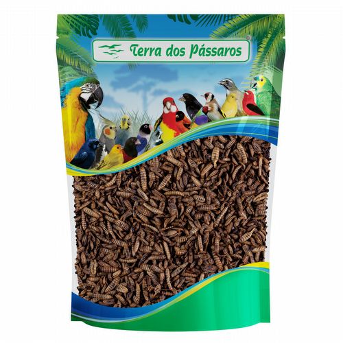 Larva BSF Desidratada (Bicho da Laranja) - 100g - imagem 1