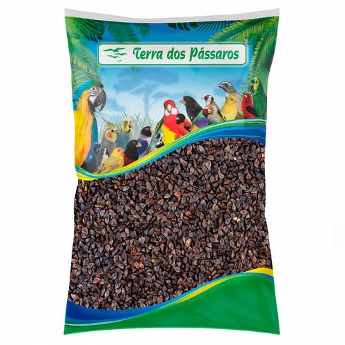 Trigo Sarraceno - 2,5kg - imagem 1